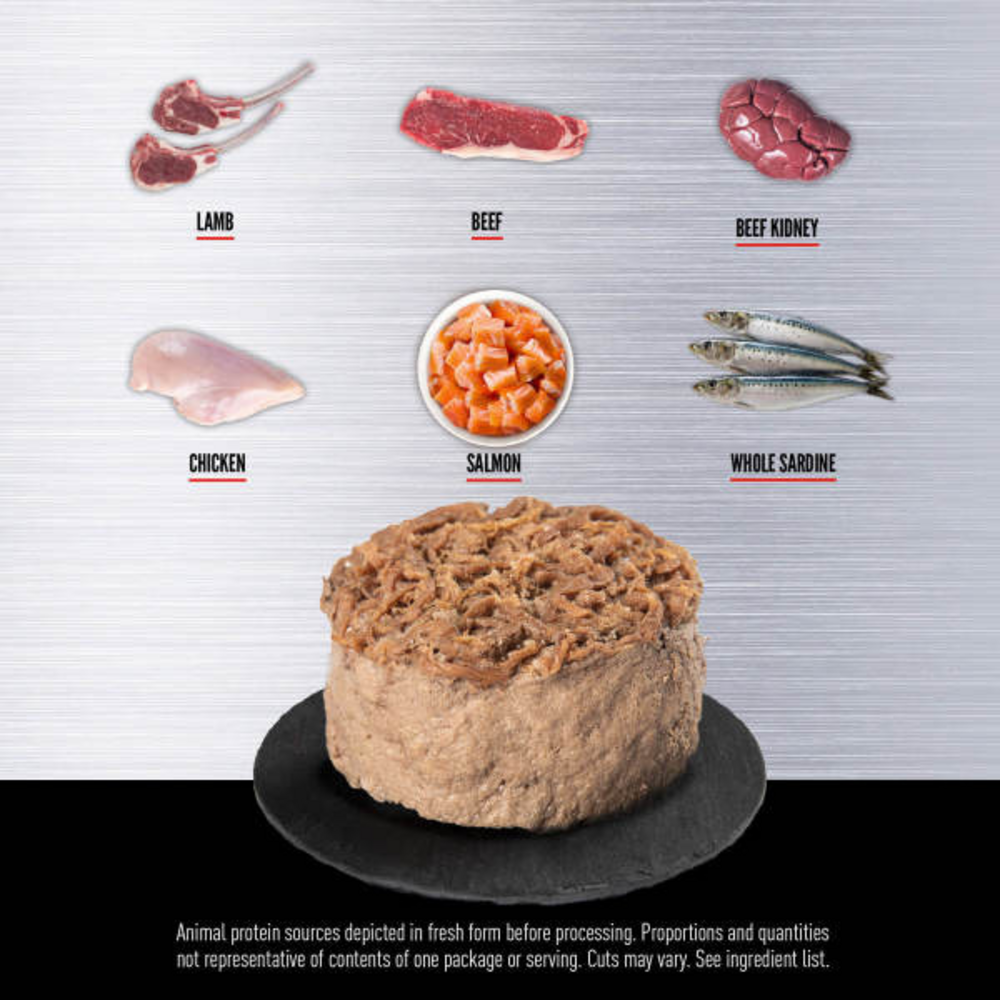 Orijen Regional Red Entree in Bone Broth Wet Cat Food