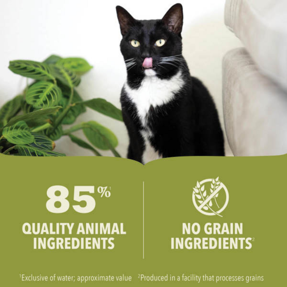 Acana Tuna and Chicken in Pate Can Cat Food