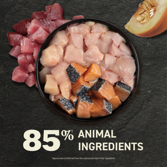 Acana  Premium Pate Variety Pack Wet Cat Food