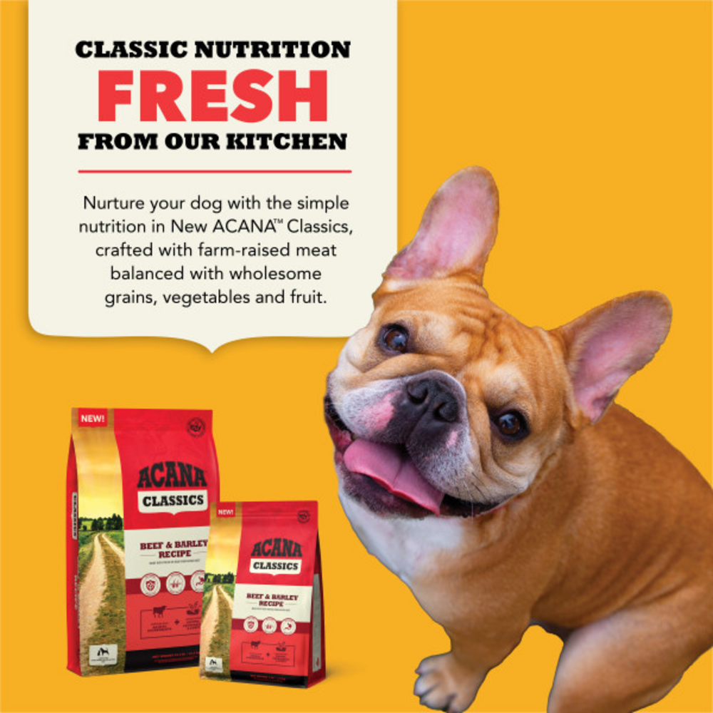 Acana Classics Beef and Barley Recipe, Dry Dog Food