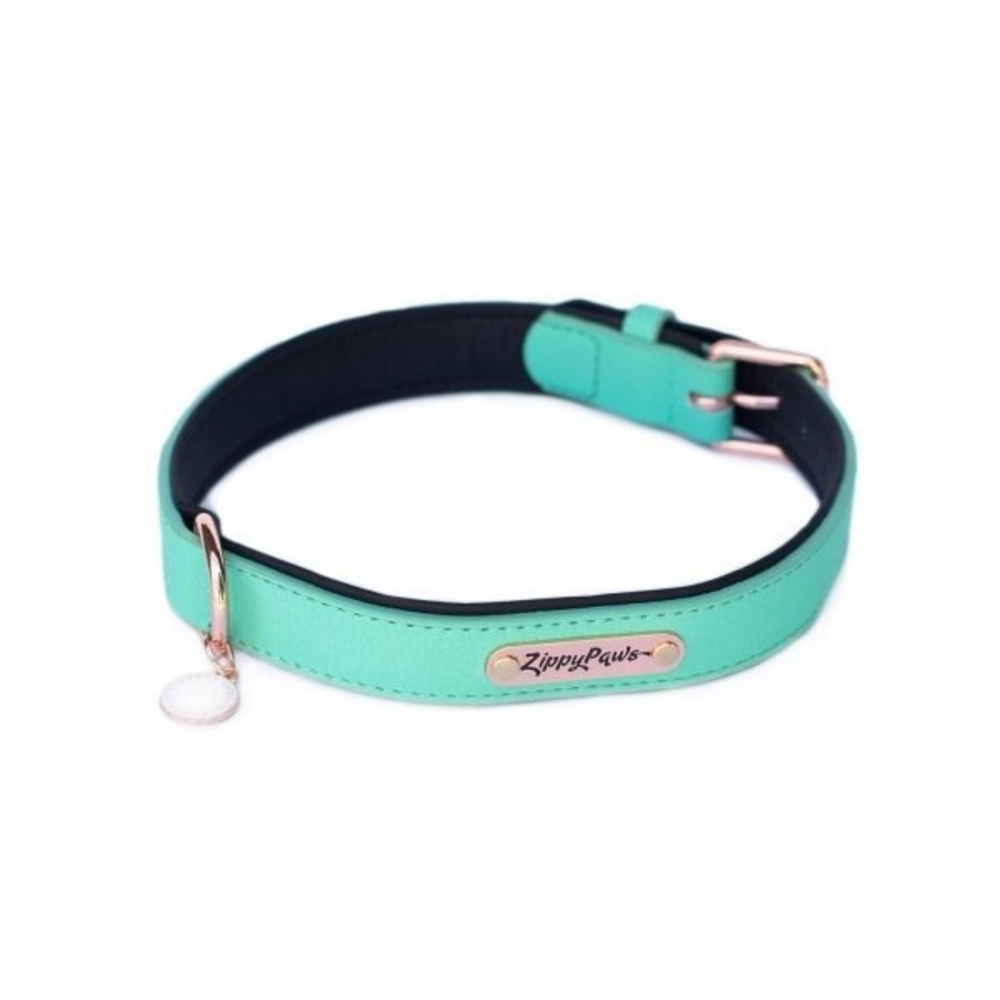 ZippyPaws Vivid Collection Teal Dog Collar