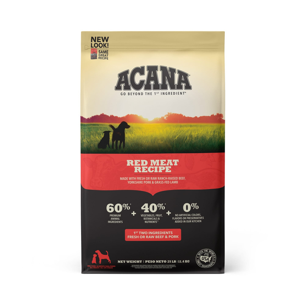 AVADA Email Marketing - Best Sellers