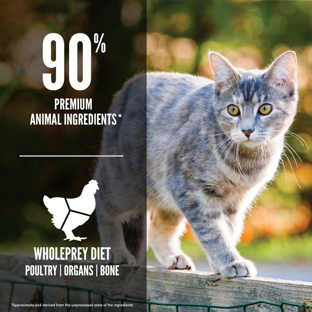 Orijen Original Cat Grain Free Dry Cat Food