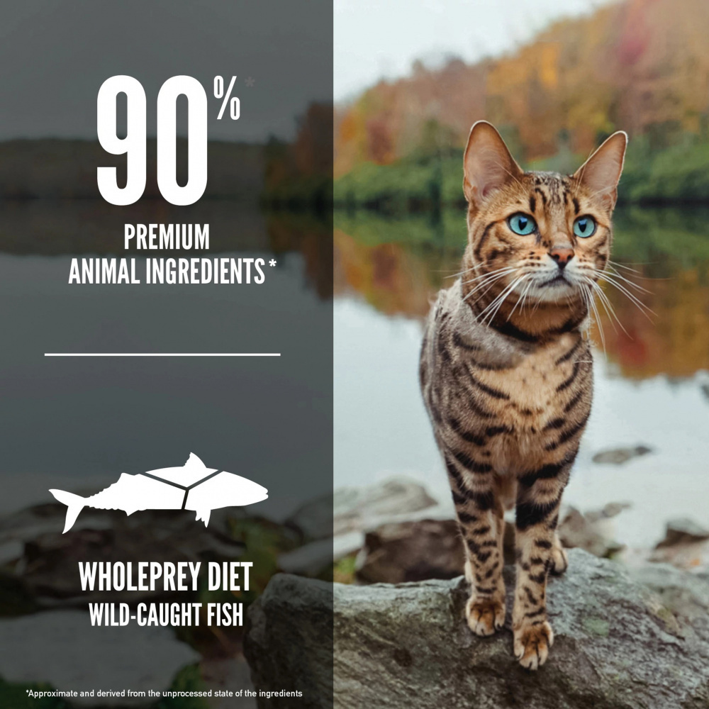 ORIJEN Grain Free Six Fish Dry Cat Food