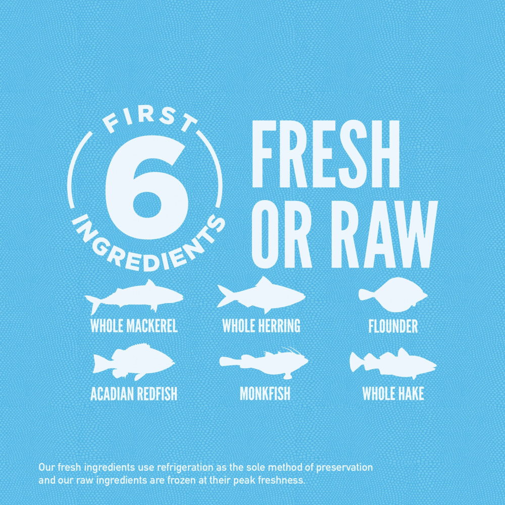 Orijen Grain Free Six Fish Dry Cat Food