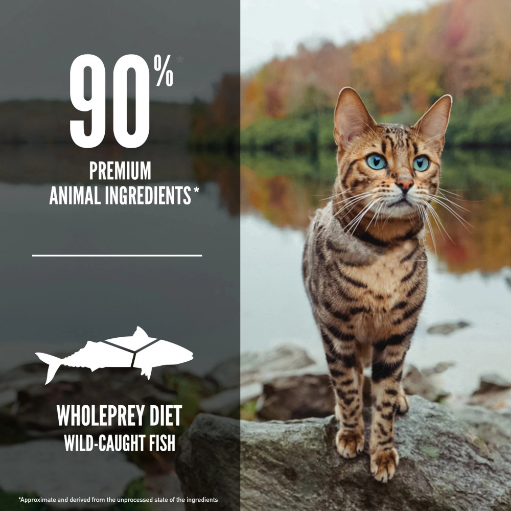 Orijen Grain Free Six Fish Dry Cat Food