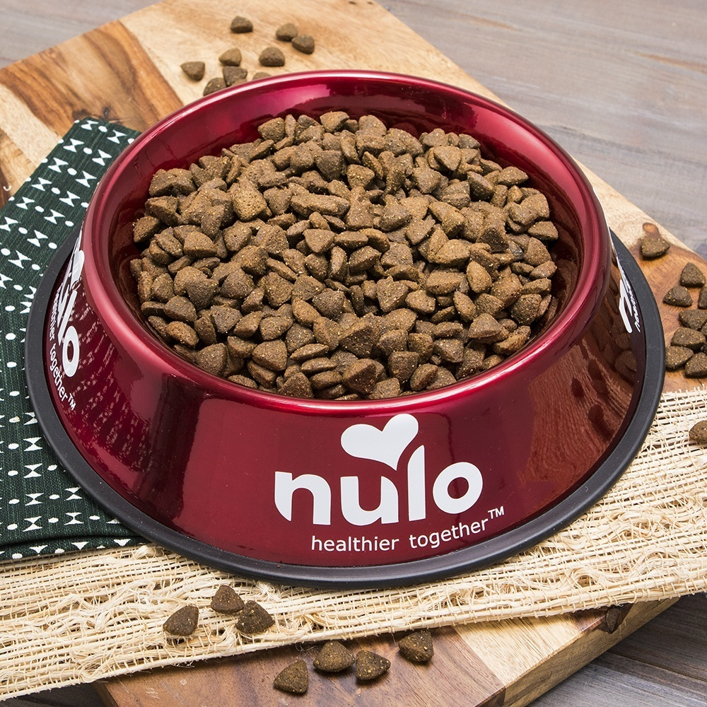 Nulo Freestyle Limited+ Sm Breed Dog Grain Free Turkey