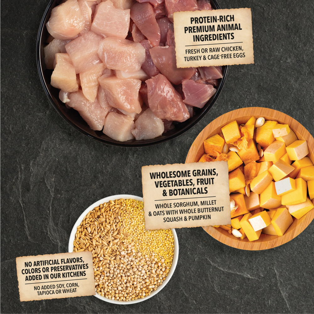 Acana Wholesome Grains Free-Run Poultry & Grains Recipe Dry Dog Food