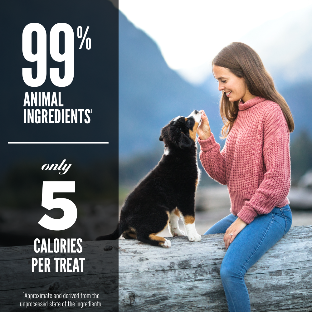 Orijen Freeze Dried Ranch Raised Beef Dog Treats