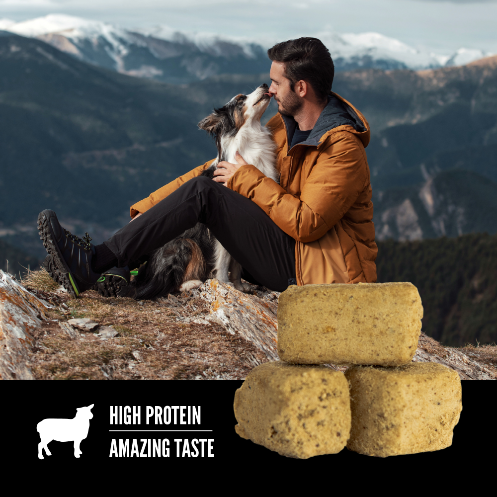 Orijen Freeze Dried Grass Fed Lamb Dog Treats