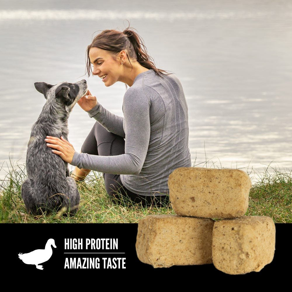 Orijen Freeze Dried Free Run Duck Dog Treats