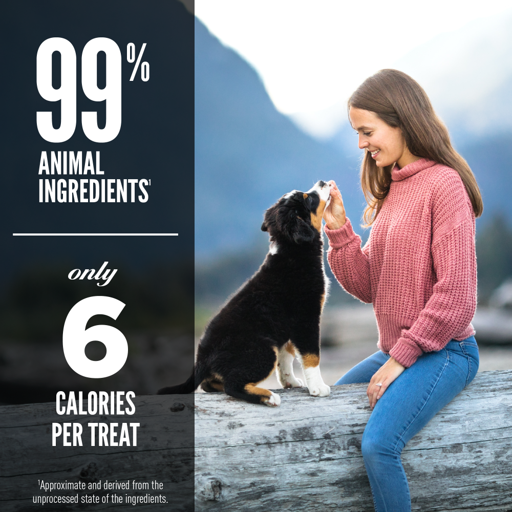 Orijen Freeze Dried Free Run Duck Dog Treats