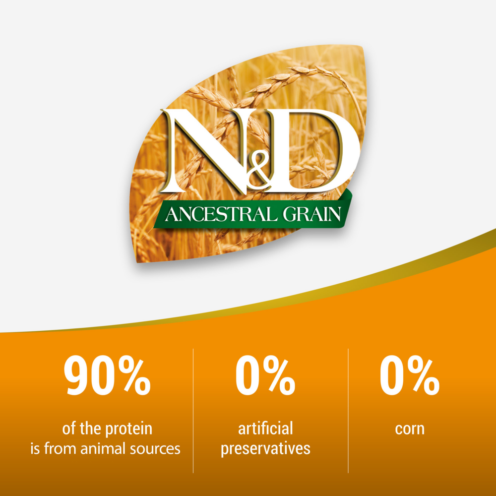 Farmina N&D Ancestral Grain Canine Chicken Spelt Oats Pomeg Adult Maxi Giant Dry Dog Food
