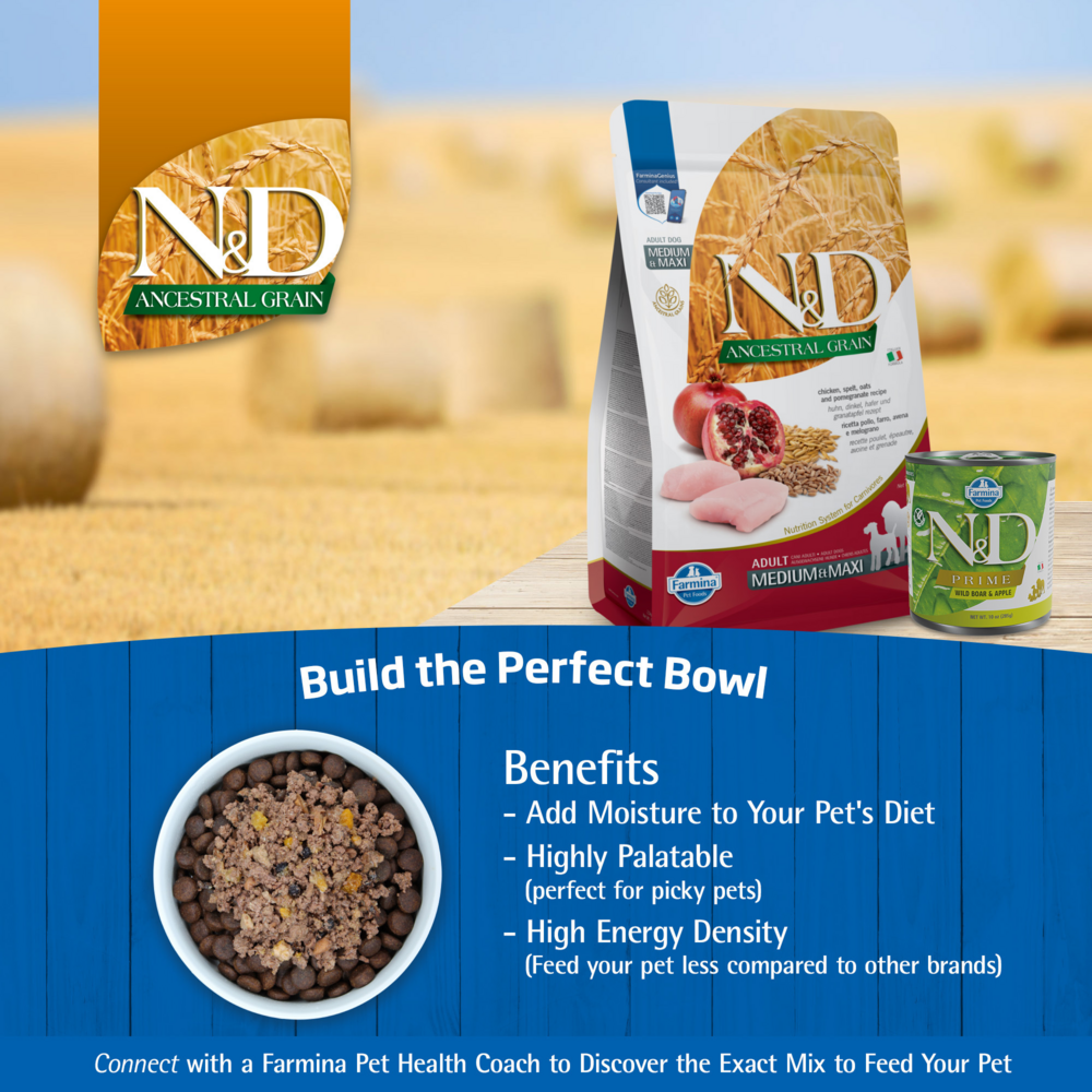 Farmina N&D Ancestral Grain Canine Chicken Spelt Oats Pomeg Adult Maxi Giant Dry Dog Food