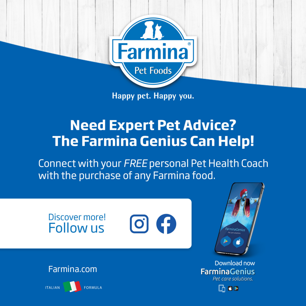 Farmina N&D Ancestral Grain Canine Chicken Spelt Oats Pomeg Adult Maxi Giant Dry Dog Food