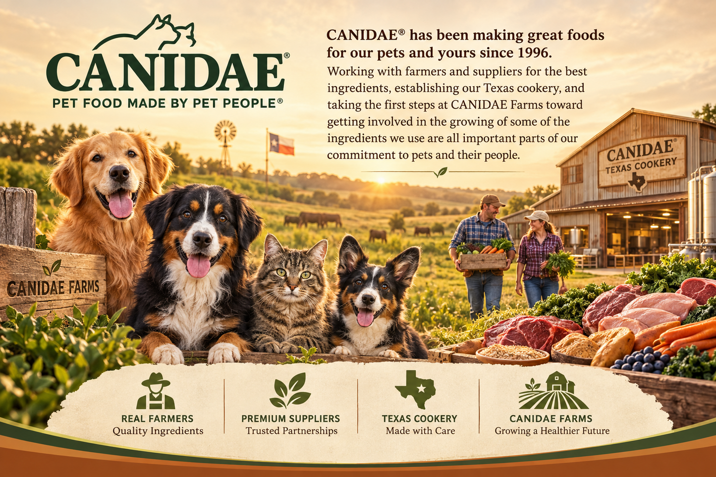 Canidae All Life Stages Dry Dog Food, Real Lamb & Ancient Grains Recipe
