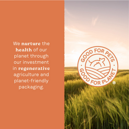 Canidae All Life Stages Wet Dog Food, Multi-Protein Formula with Chicken, Lamb & Fish, 13 oz.