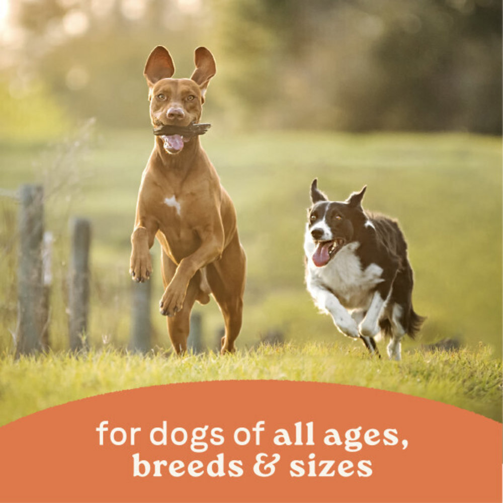 Canidae All Life Stages Wet Dog Food, Multi-Protein Formula with Chicken, Lamb & Fish, 13 oz.