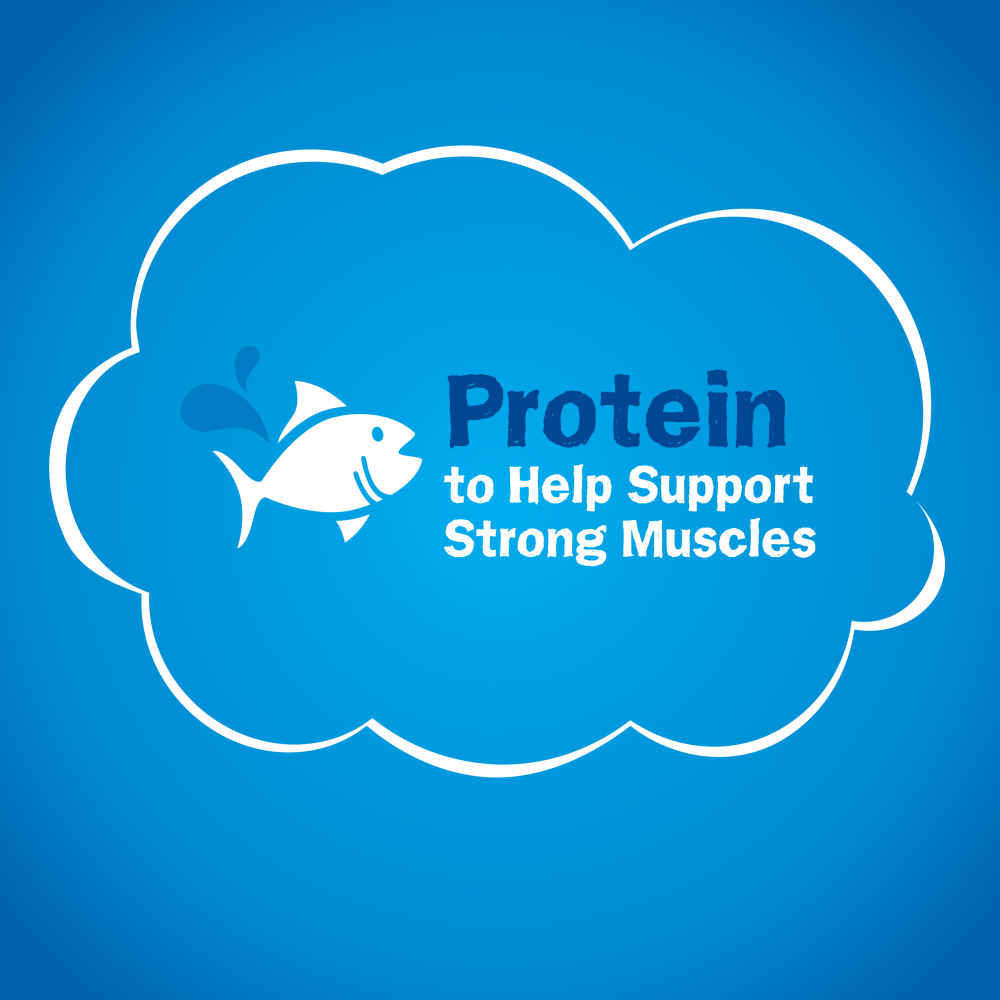 Friskies Dry Cat Food Seafood Sensations With Salmon, Tuna, and Shrimp Flavors