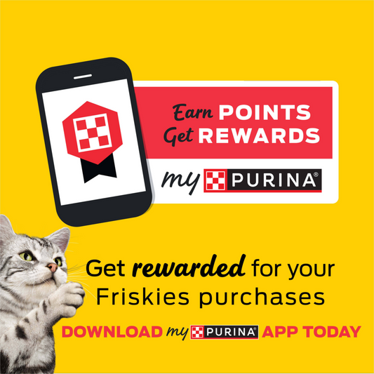 Purina Friskies Cat Food Surfin and Turfin Favorites Dry Cat Food