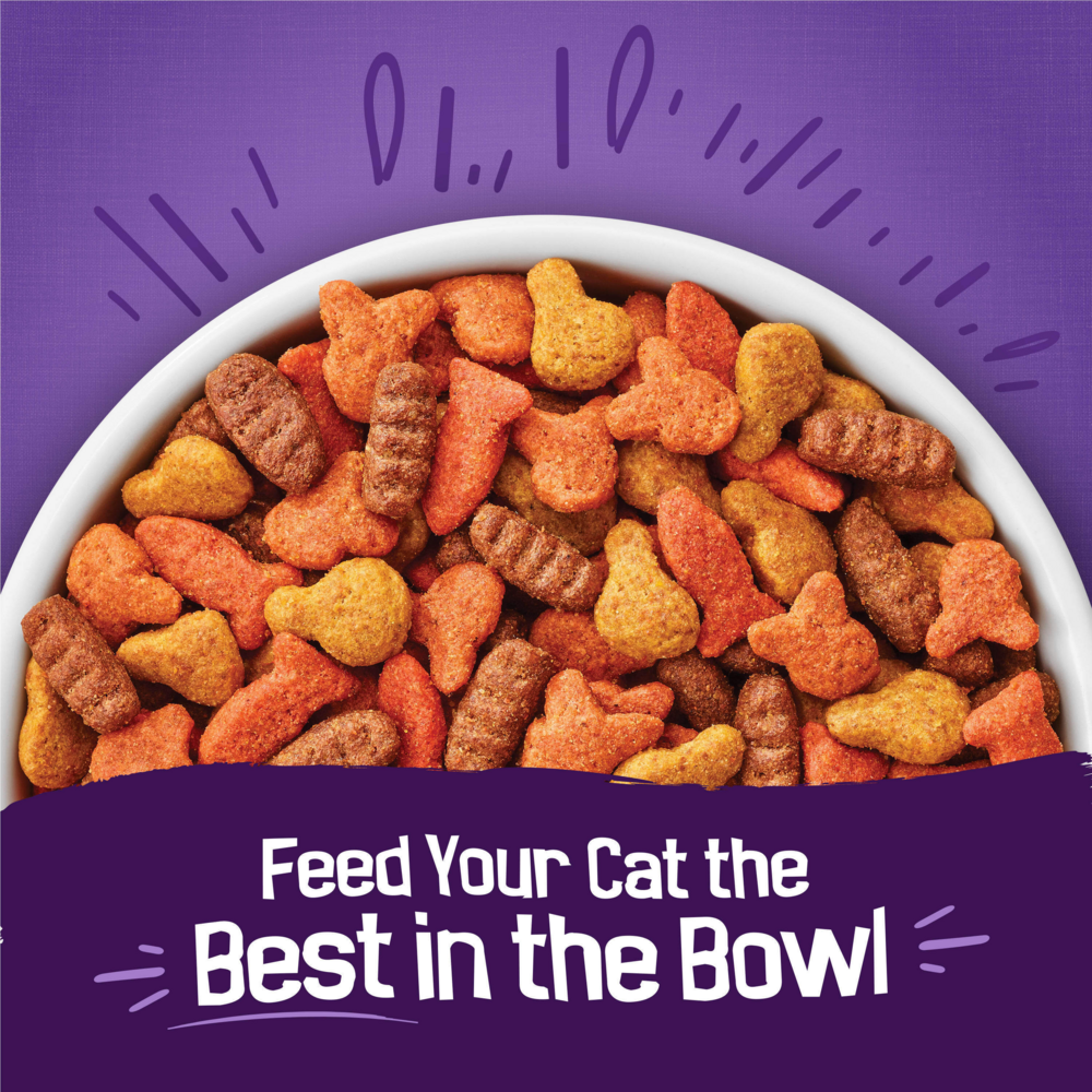 Friskies Cat Food Surfin and Turfin Favorites Dry Cat Food