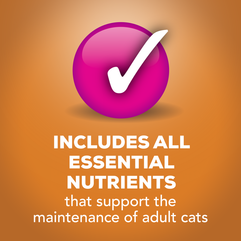 Friskies Indoor Chicken Dinner Pate Wet Cat Food