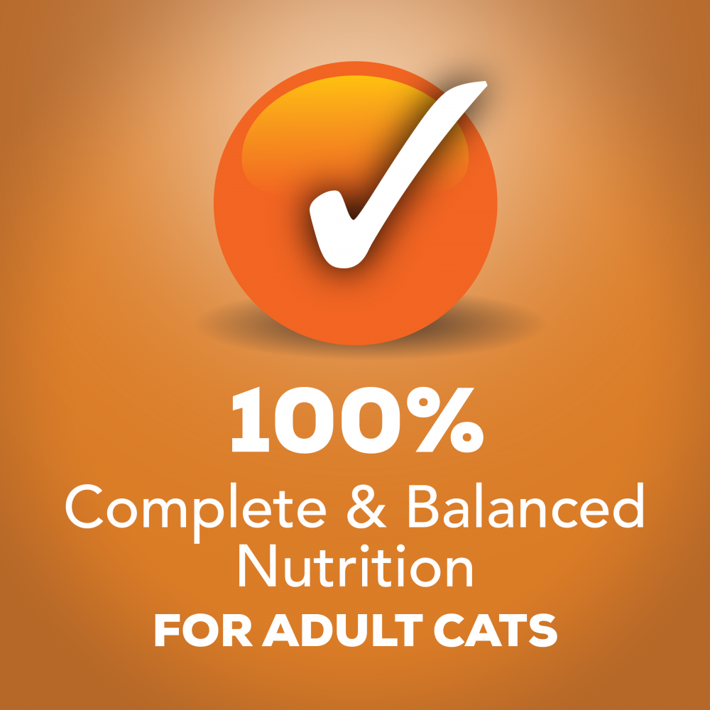 Friskies Indoor Chicken Dinner Pate Wet Cat Food