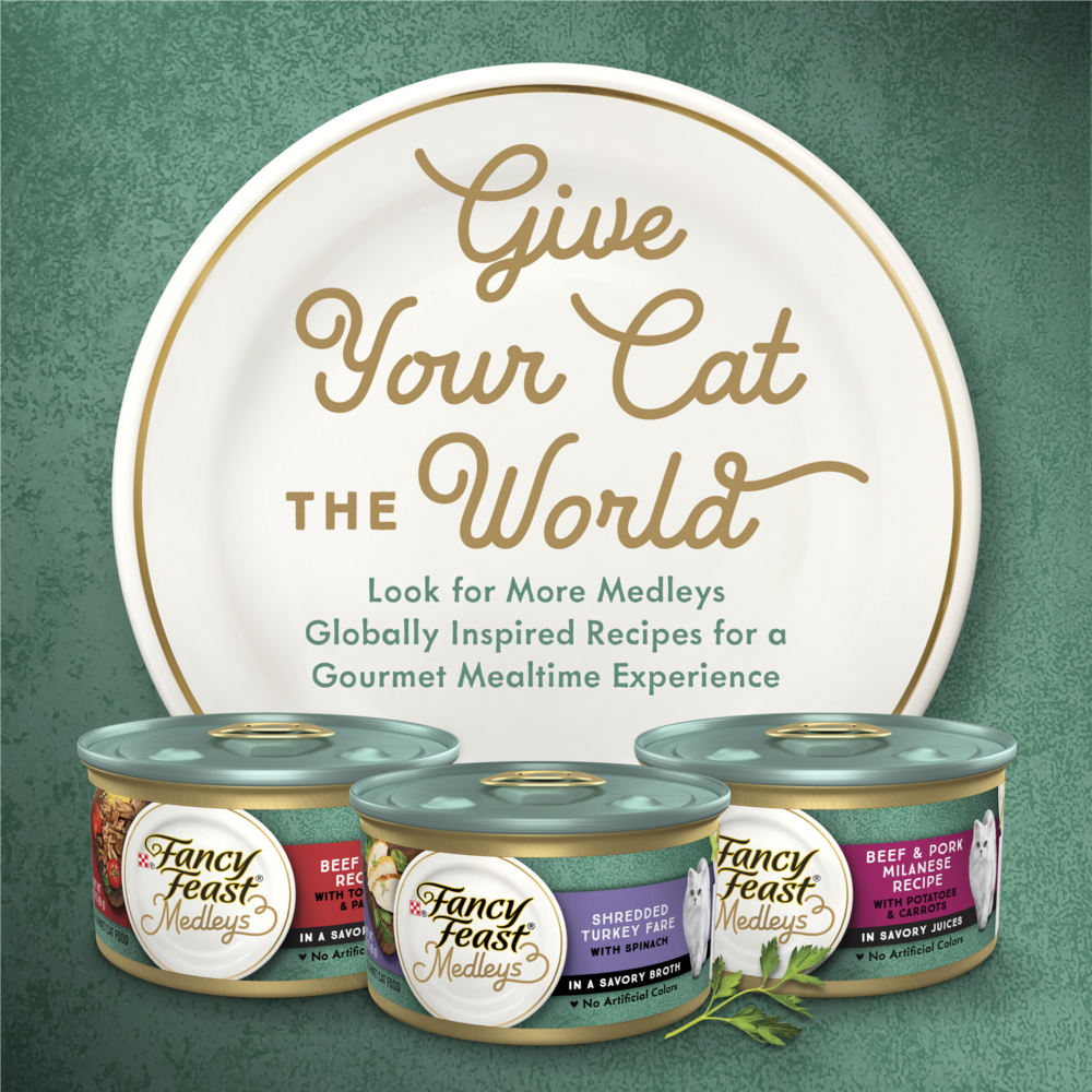 Fancy Feast Elegant Medleys Shredded Salmon Wet Cat Food