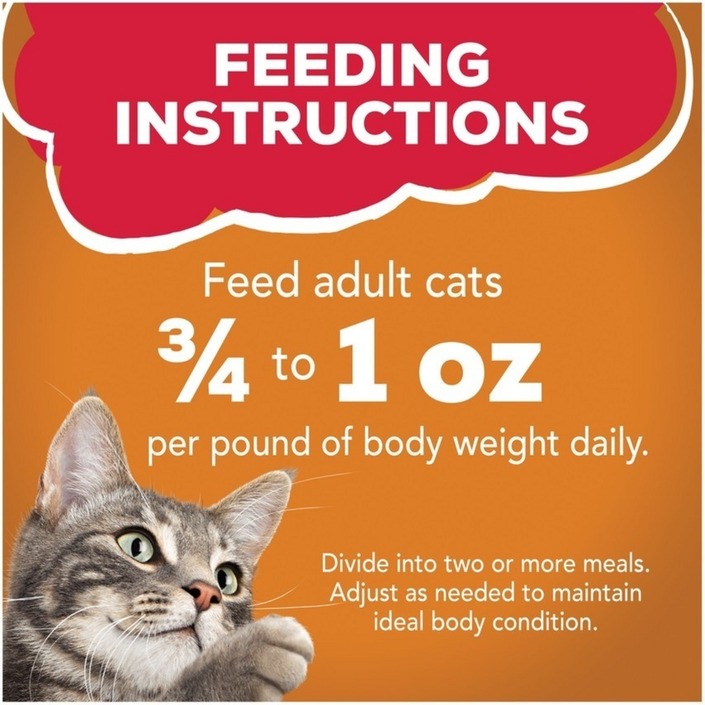 Friskies Prime Filets Chicken in Gravy Wet Cat Food