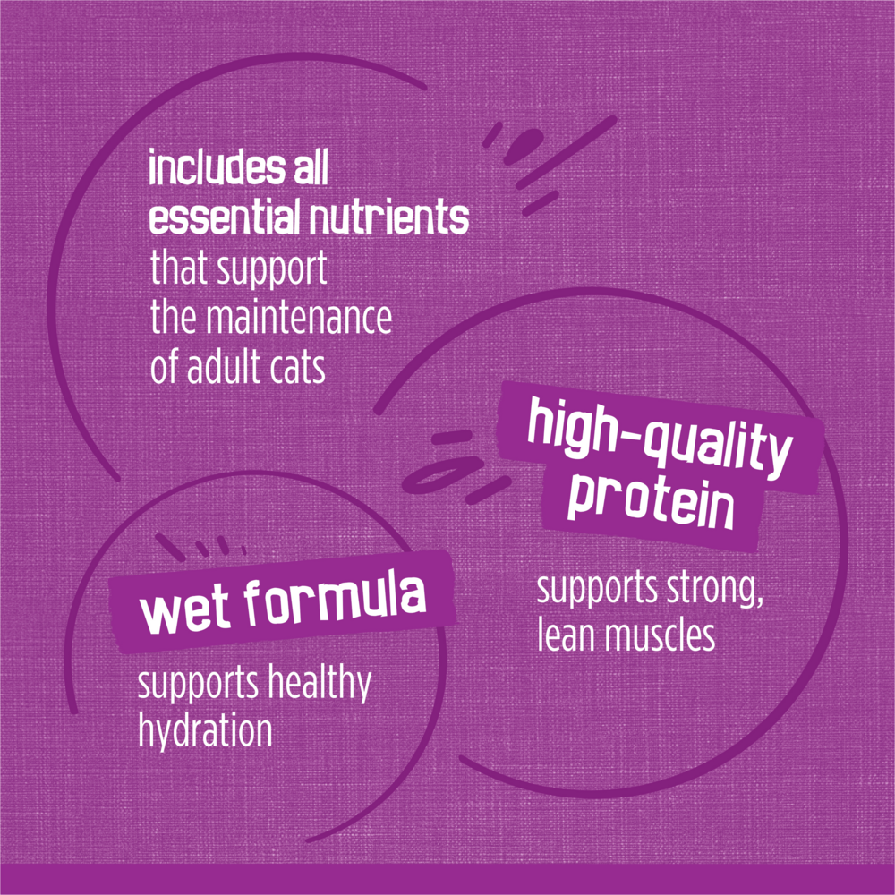 Purina Friskies Gravy Wet Cat Food Variety Pack, Poultry Shreds, Meaty Bits and Prime Filets