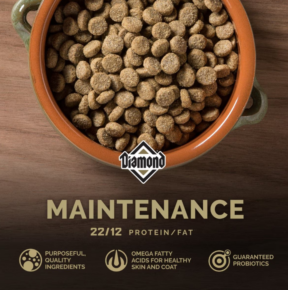 Diamond Maintenance Dry Dog Food