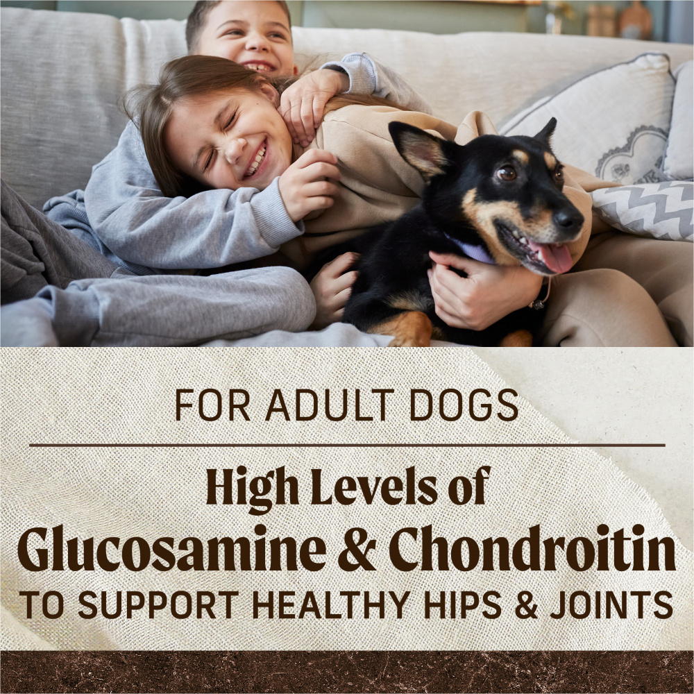 Merrick Grain Free Chicken and Sweet Potato Adult Dry Dog Food