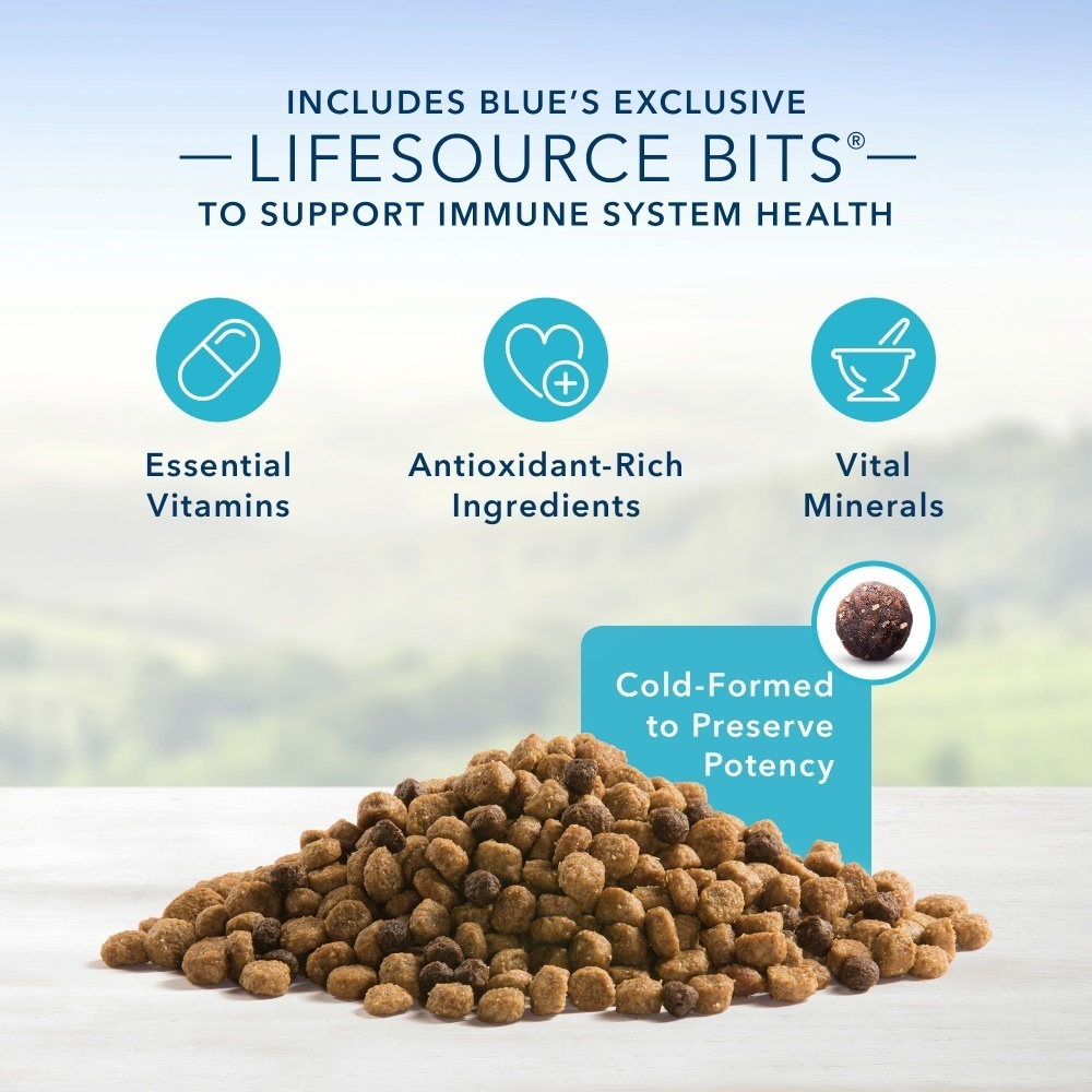 Blue Buffalo Life Protection Formula Small Bite Adult Chicken & Brown Rice Recipe Dry Dog Food