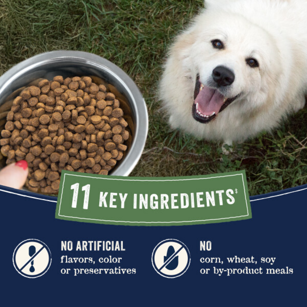 Canidae Pure Farm To Bowl Free-Range Bison, Lentil & Carrot Recipe Dog Food