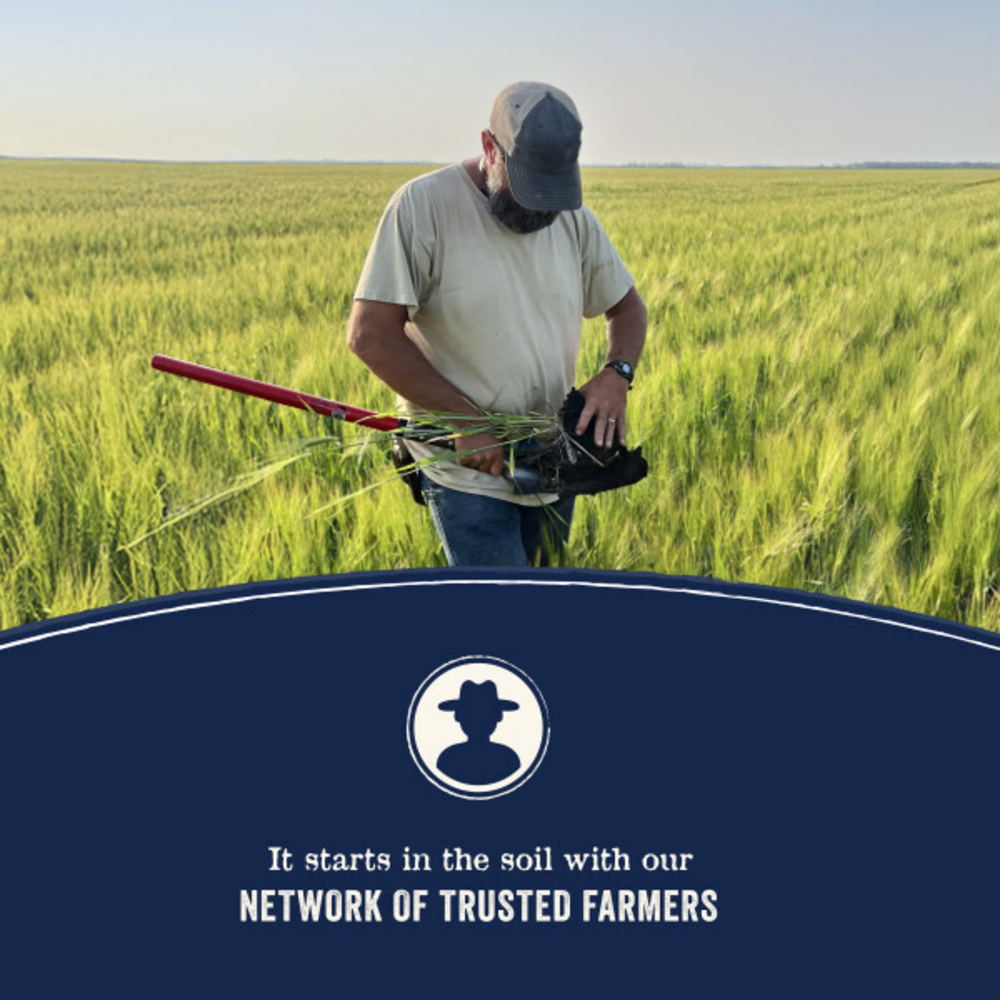 Canidae Pure Farm To Bowl Pasture-Raised Lamb & Sweet Potato Recipe Dog Food