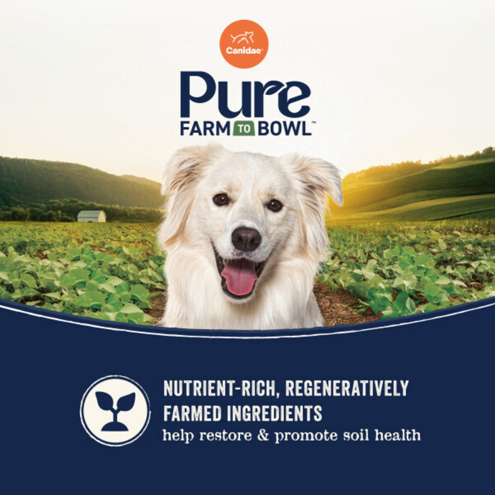 Canidae Pure Farm To Bowl Pasture-Raised Lamb & Sweet Potato Recipe Dog Food