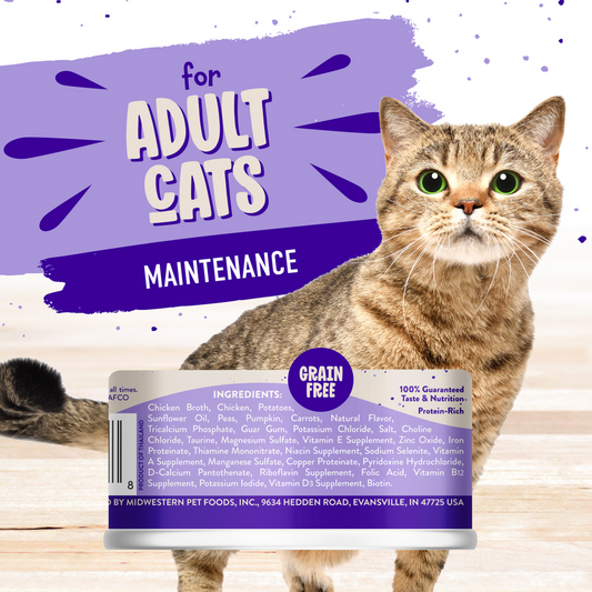 Earthborn Holistic Grain Free Chicken Fricatssee Canned Cat Food