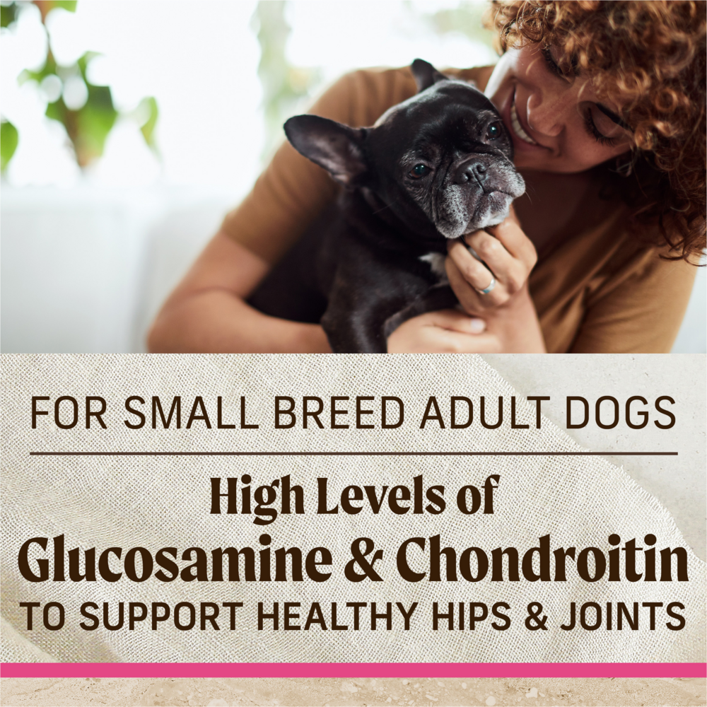 Merrick Healthy Grains Small Breed Adult Dry Dog Food