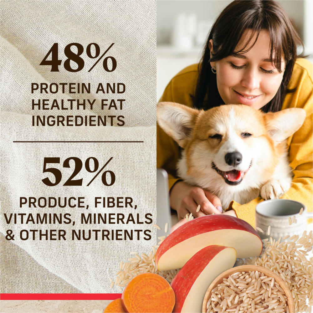 Merrick Healthy Grains Beef and Brown Rice Adult Dry Dog Food