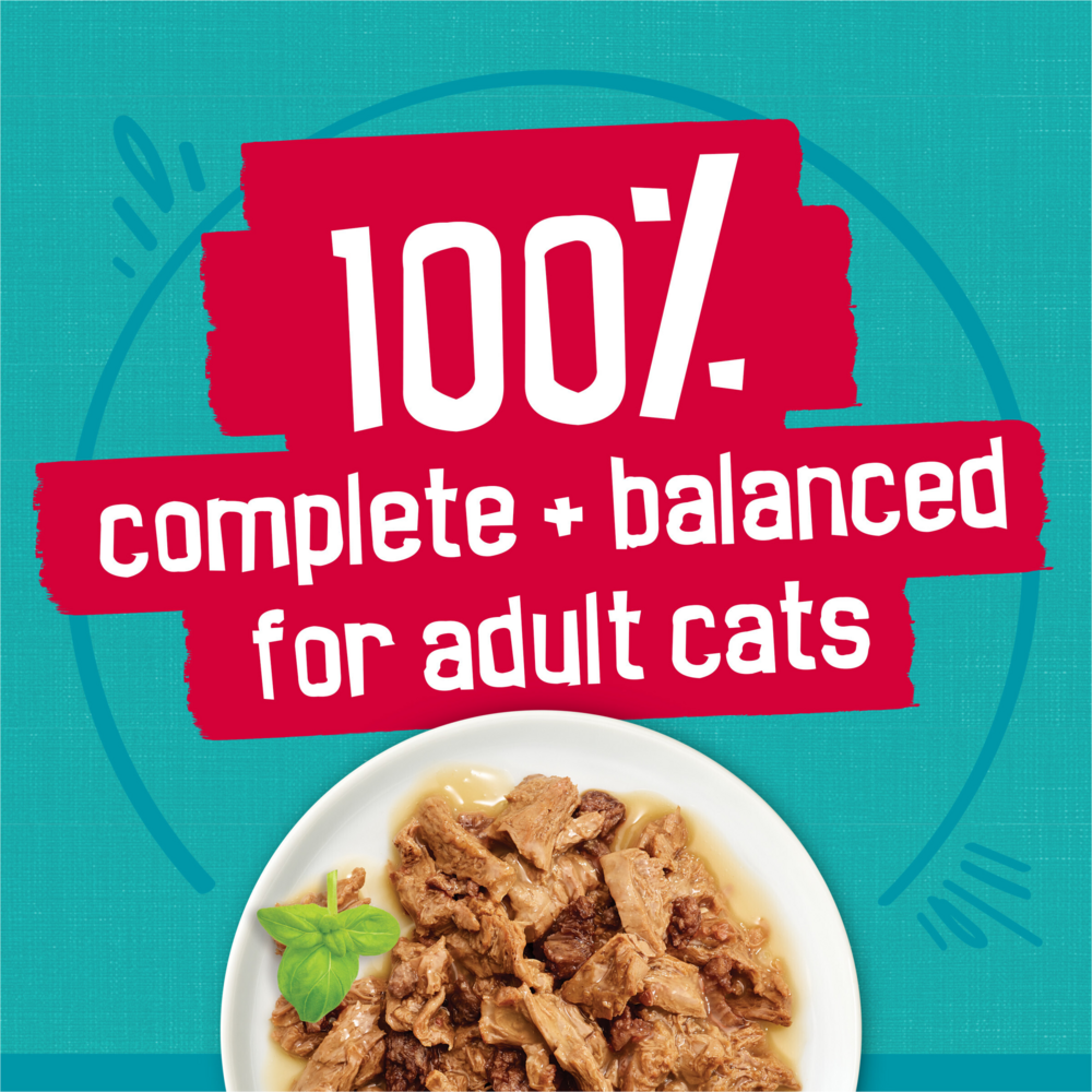 Friskies Tasty Treasures Variety Pack Wet Cat Food