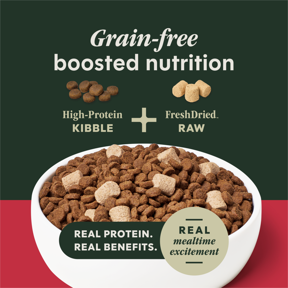 Instinct Raw Boost Grain Free Beef Dry Dog Food