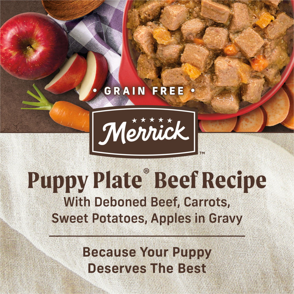 Merrick Grain Free Puppy Plate Beef Wet Puppy Food