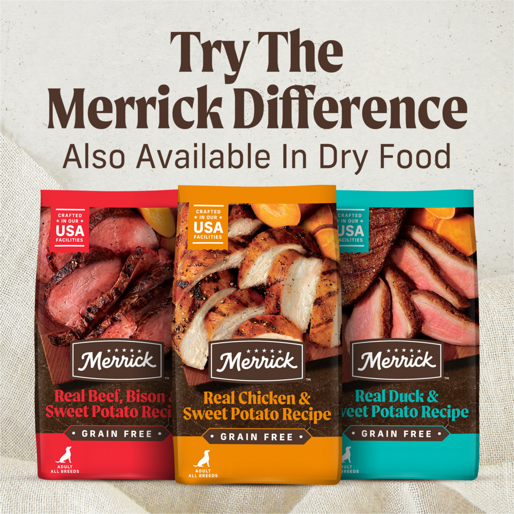 Merrick Grain Free Puppy Plate Beef Wet Puppy Food