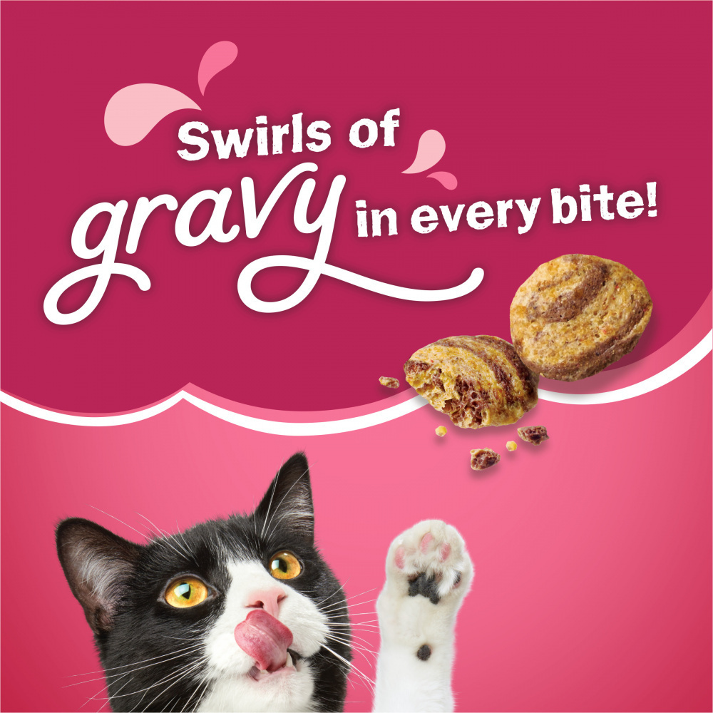 Purina Friskies Gravy Swirlers Chicken and Salmon Dry Cat Food
