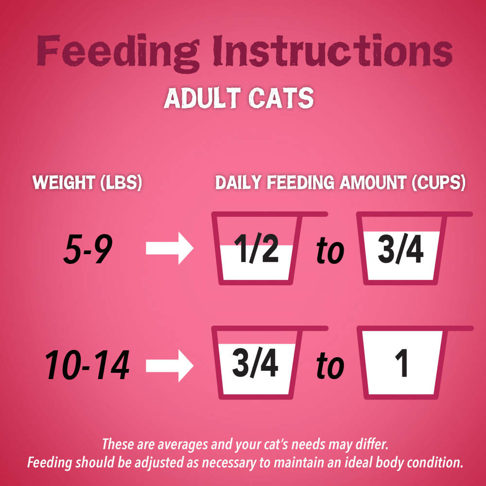 Friskies Gravy Swirlers Chicken and Salmon Dry Cat Food