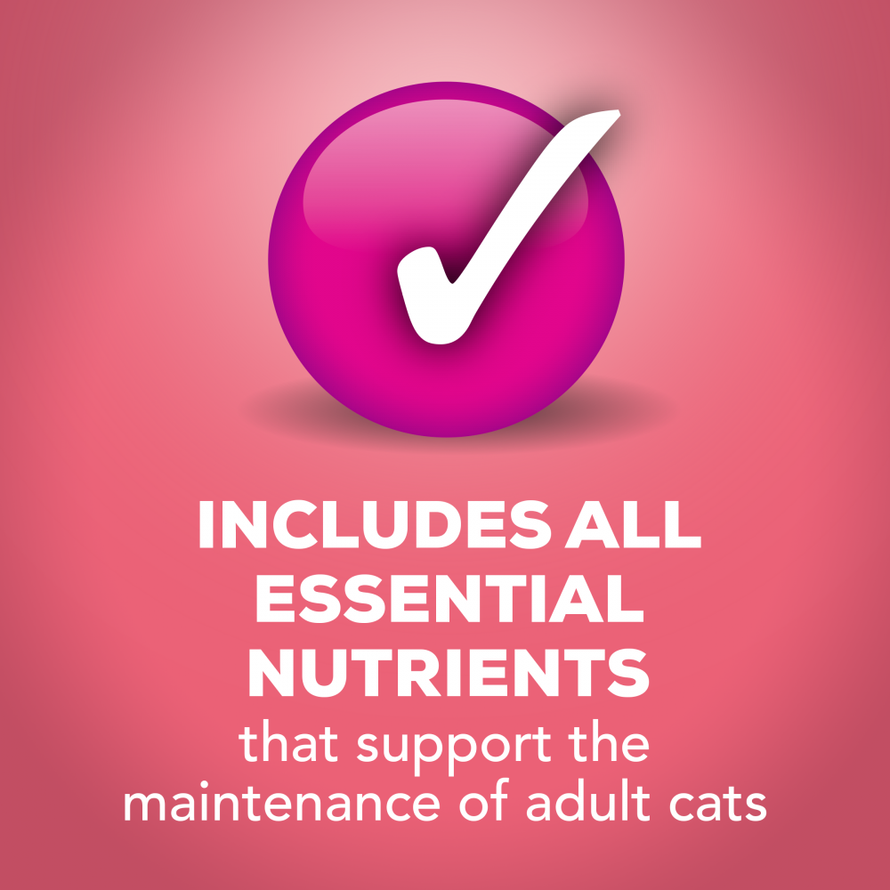 Friskies Extra Gravy Chunky Salmon Wet Cat Food