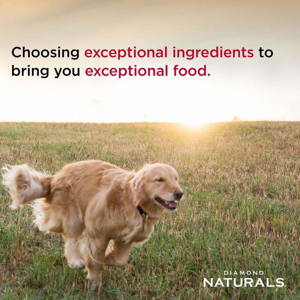 Diamond Naturals Skin & Coat Formula All Life Stages Dry Dog Food