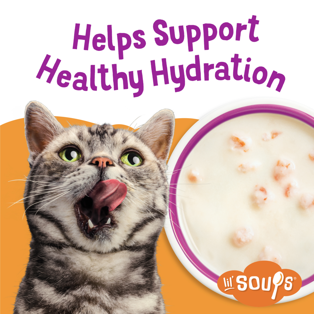 Purina Friskies Lil' Soups Grain Free Shrimp in Chicken Broth Wet Cat Food