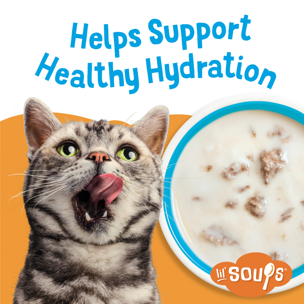 Purina Friskies Lil' Soups Grain Free Tuna in Chicken Broth Wet Cat Food