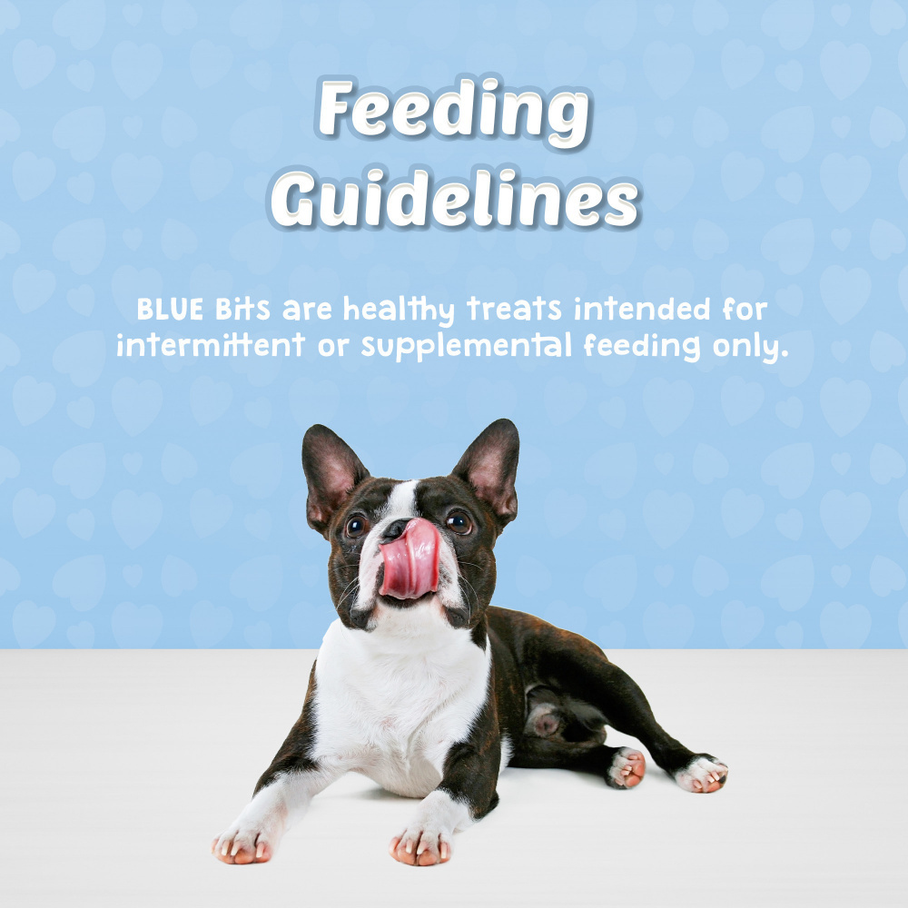 Blue Buffalo Bits Tempting Turkey Natural Soft-Moist Training Treats